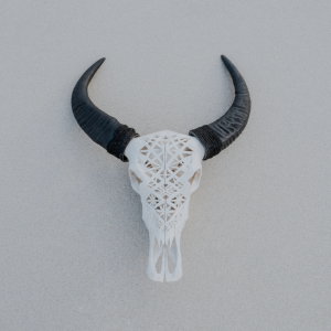 Horns
