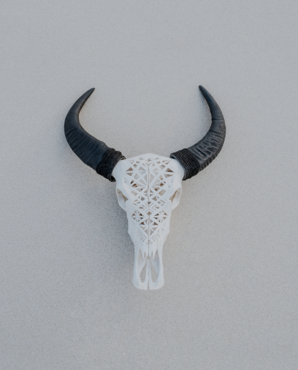 Horns